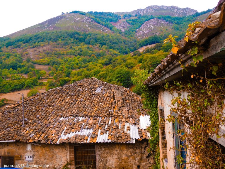 Asturias septiembre 2012 121_edited.jpg