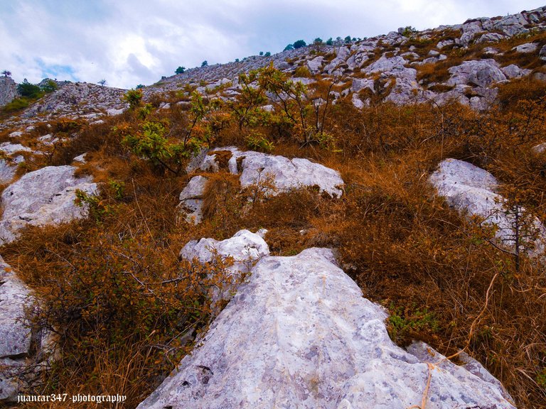 Asturias septiembre 2012 157_edited.jpg