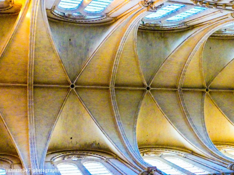 P1210251_edited.jpg