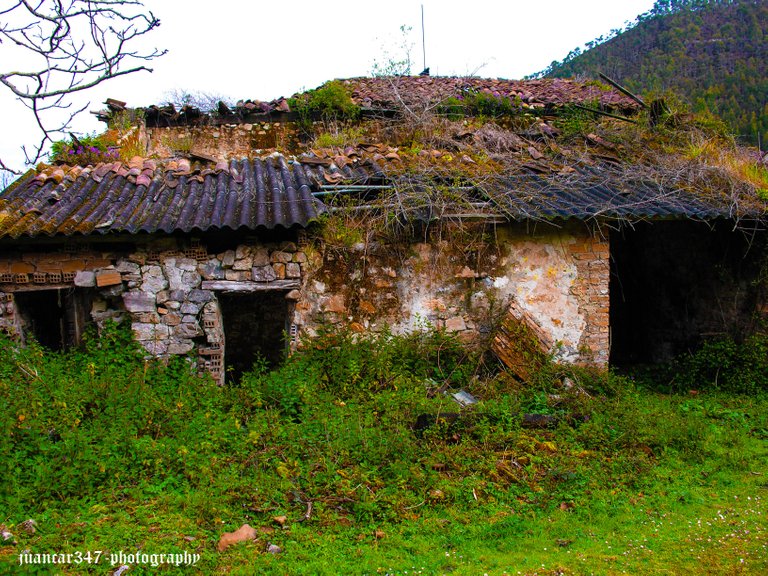 DSCN0449_edited.jpg