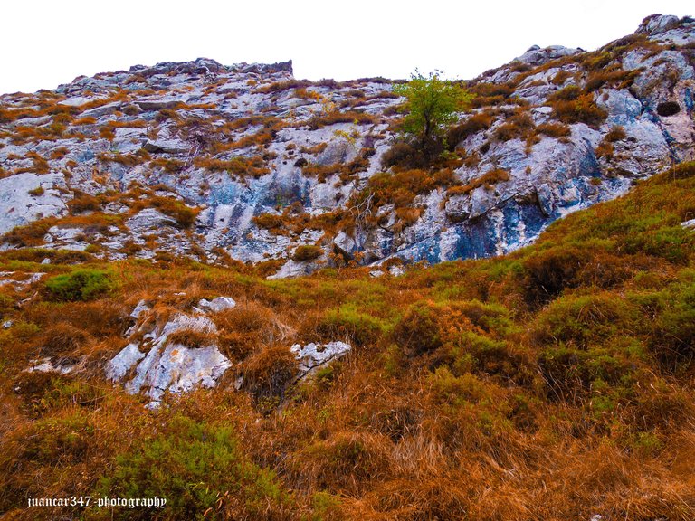 Asturias septiembre 2012 152_edited.jpg