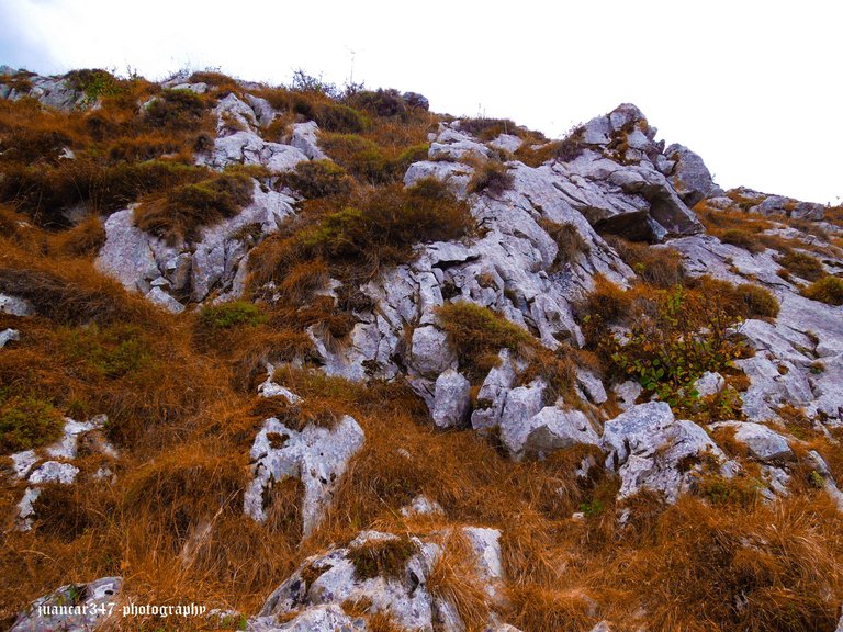 Asturias septiembre 2012 154_edited.jpg