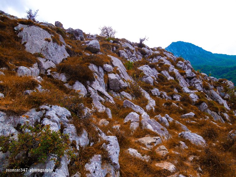 Asturias septiembre 2012 160_edited.jpg