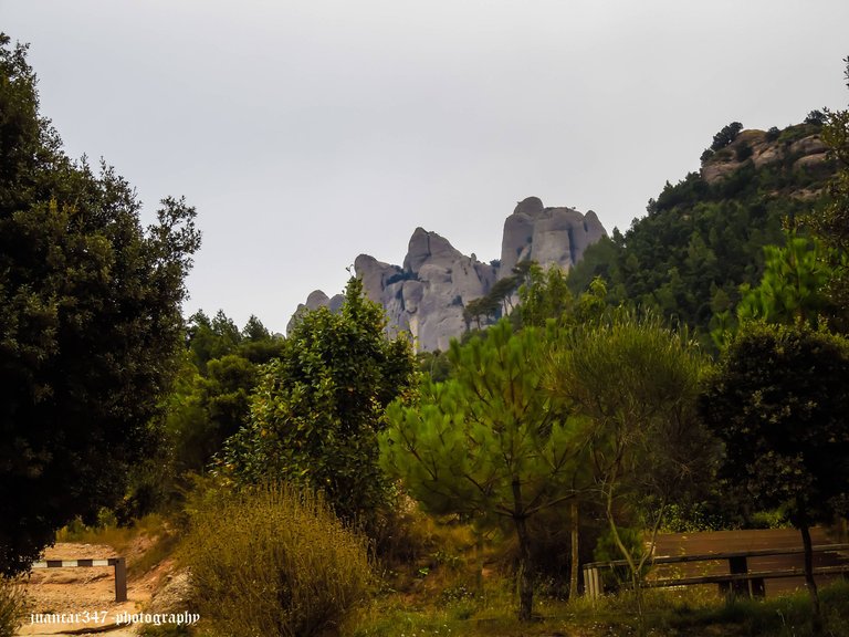 DSCN3475.JPG