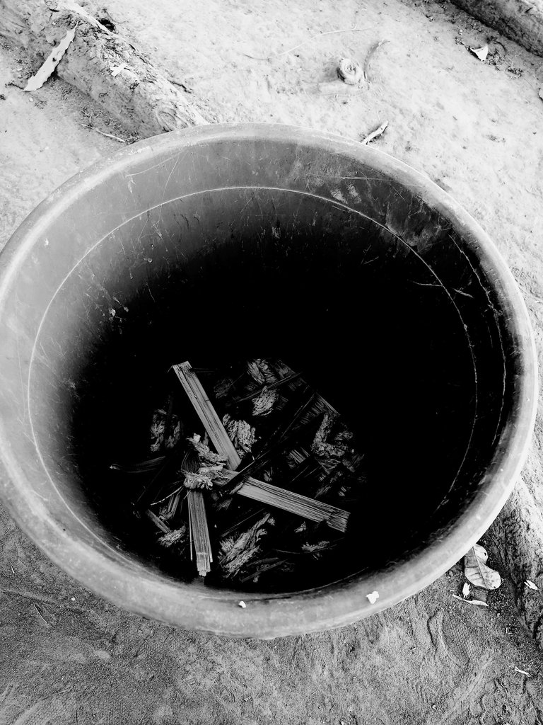 BlackWhite_2023-02-17_10-44-52-235.jpg