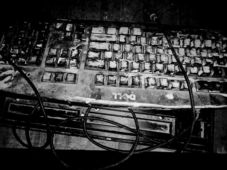 BlackWhite_2023-02-17_20-02-22-556.jpg