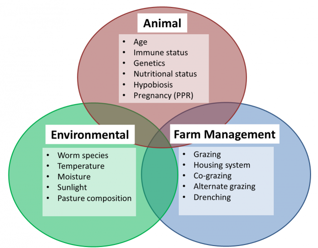 PGE-risk-factors-640x500.png