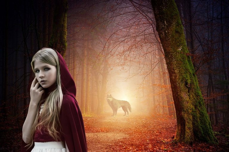 little-red-riding-hood-4766015_1280.jpg