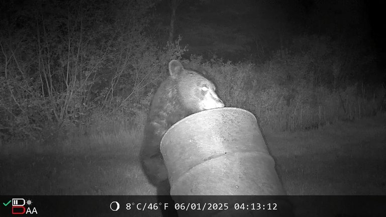 VideoCapture_20250622-130753.jpg