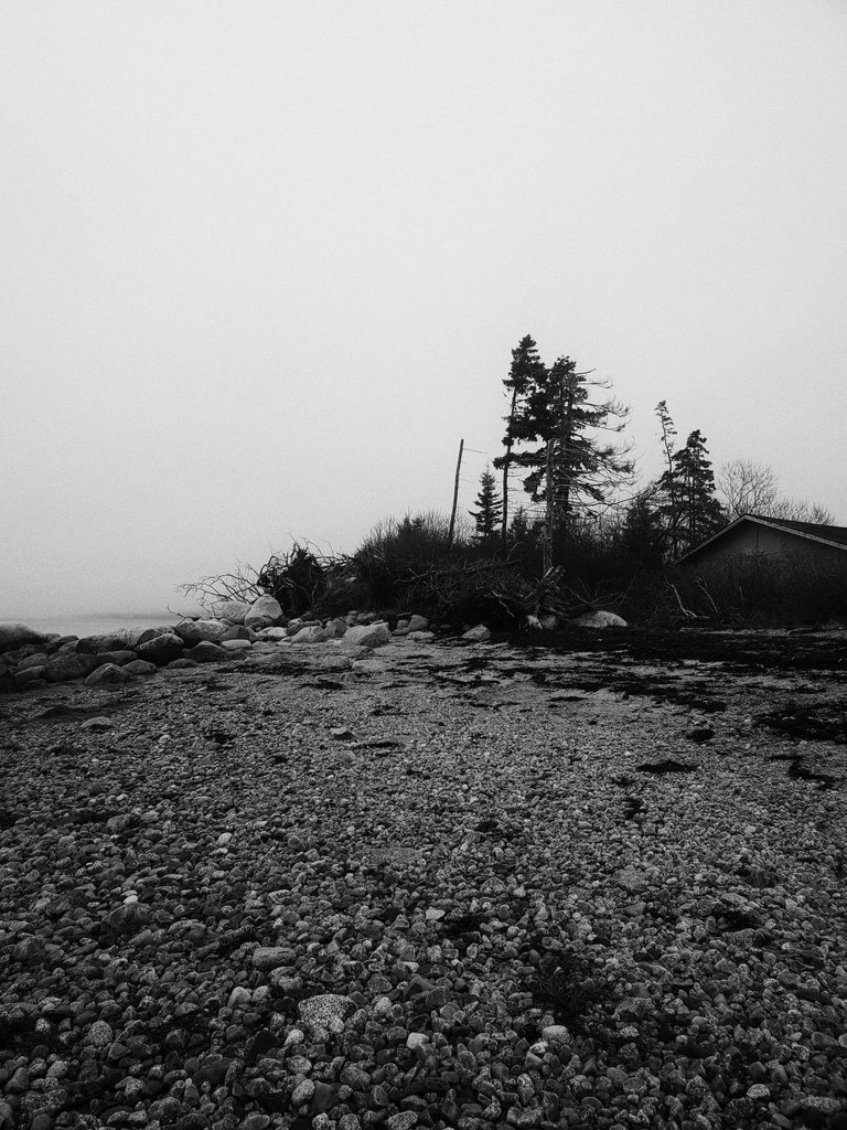 20250507_125315-01.jpeg