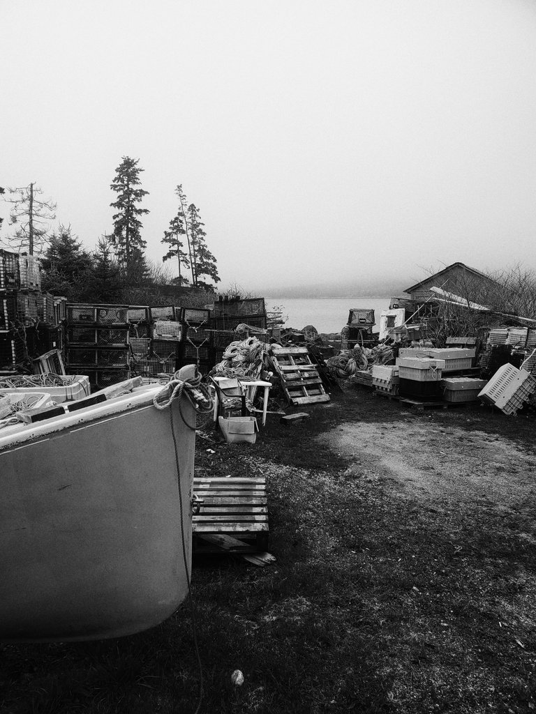 20250507_125221-02.jpeg