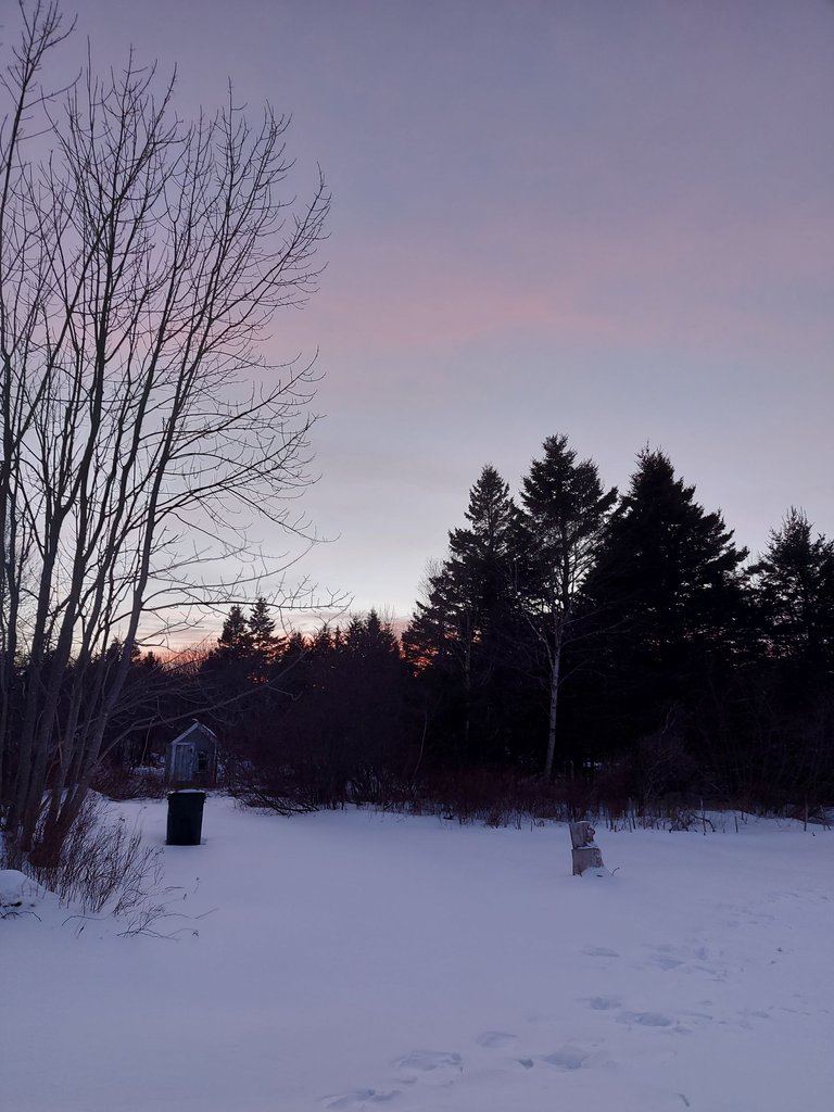 20250221_180242.jpg