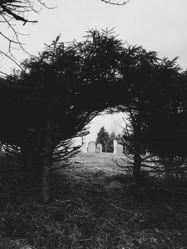 20250416_121301-01.jpeg