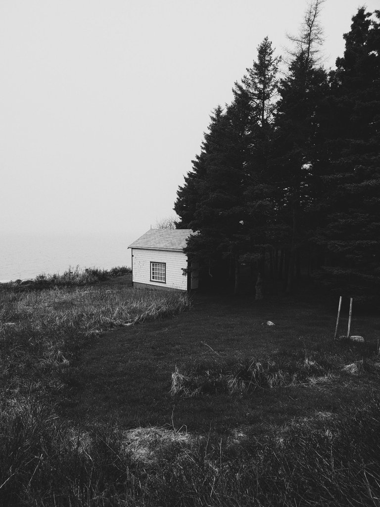 20250507_123756-01.jpeg