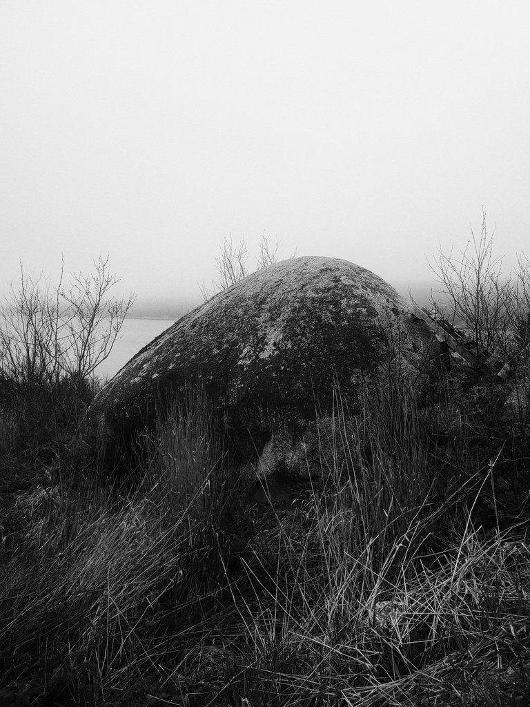 20250507_124712-01.jpeg