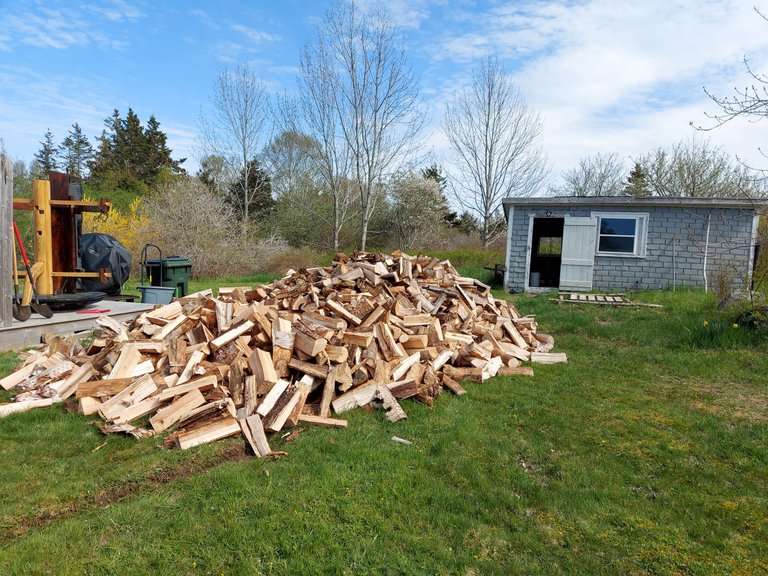 woodpile.jpg