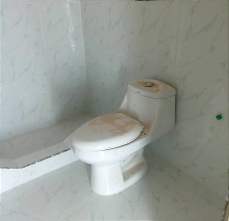 1000231246.jpg