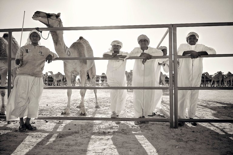 bedouin.jpg