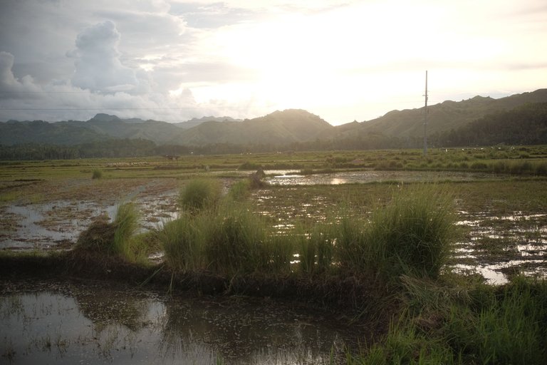 DSCF4503.JPG