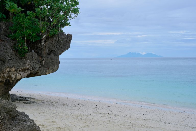 DSC03477.jpg