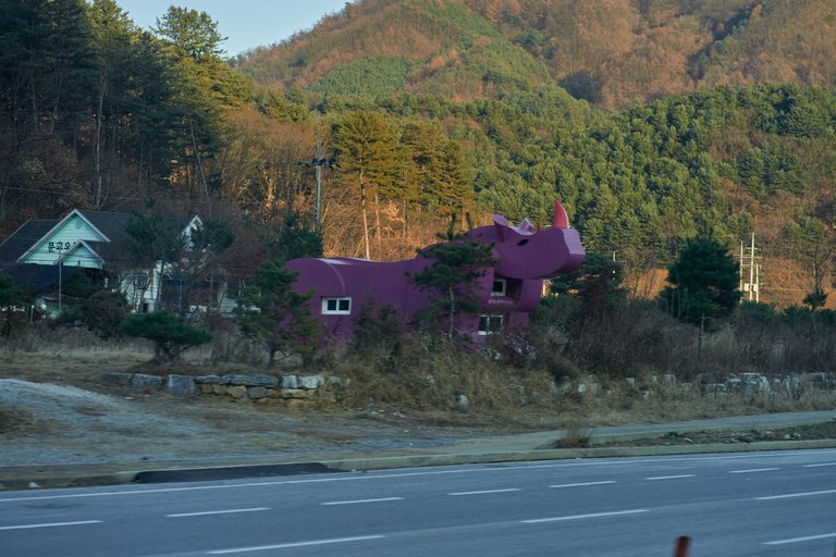 DSC01132.jpg
