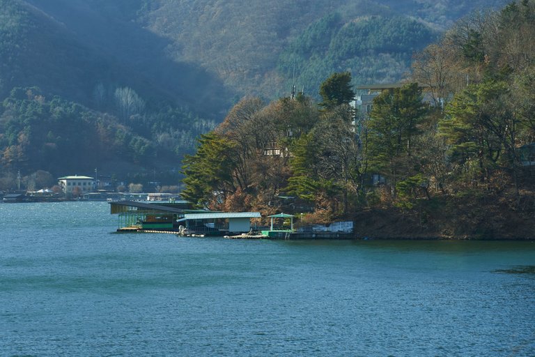 DSC00921.jpg