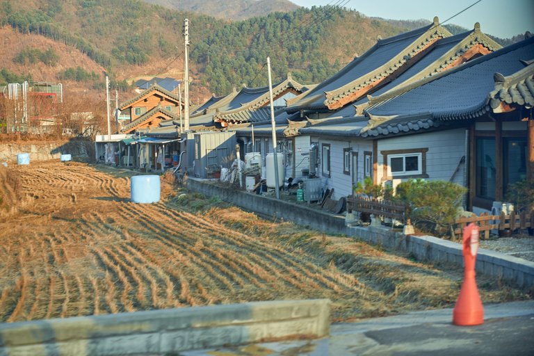 DSC01122.jpg