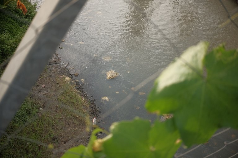 DSCF4482.JPG