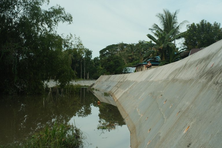 DSCF4549.JPG