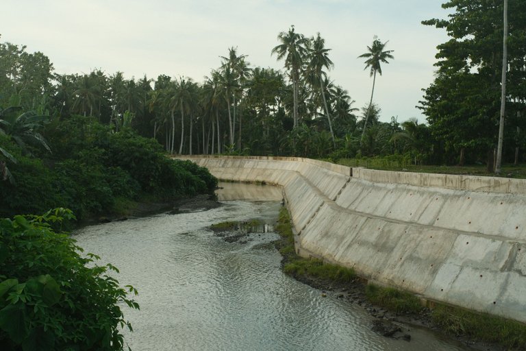 DSCF4560.JPG