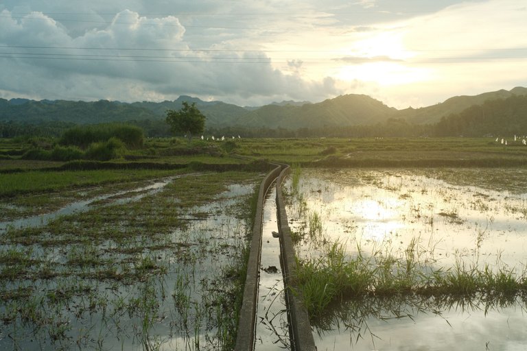 DSCF4594.JPG