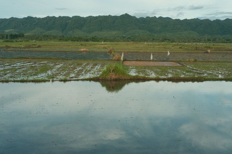 DSCF4579.JPG