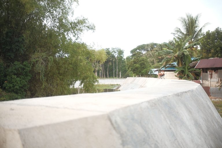 DSCF4459.JPG