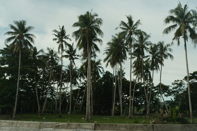 DSCF4561.JPG