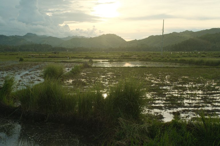 DSCF4576.JPG