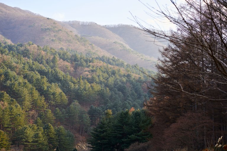 DSC01067.jpg