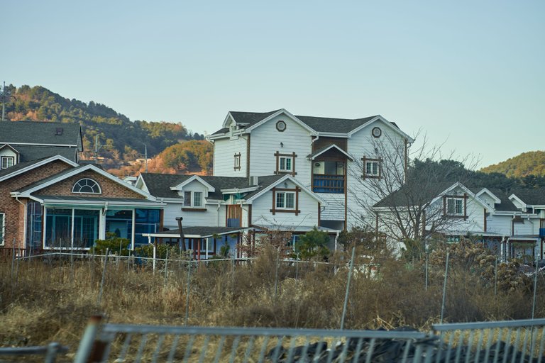 DSC01116.jpg