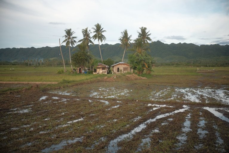 DSCF4510.JPG