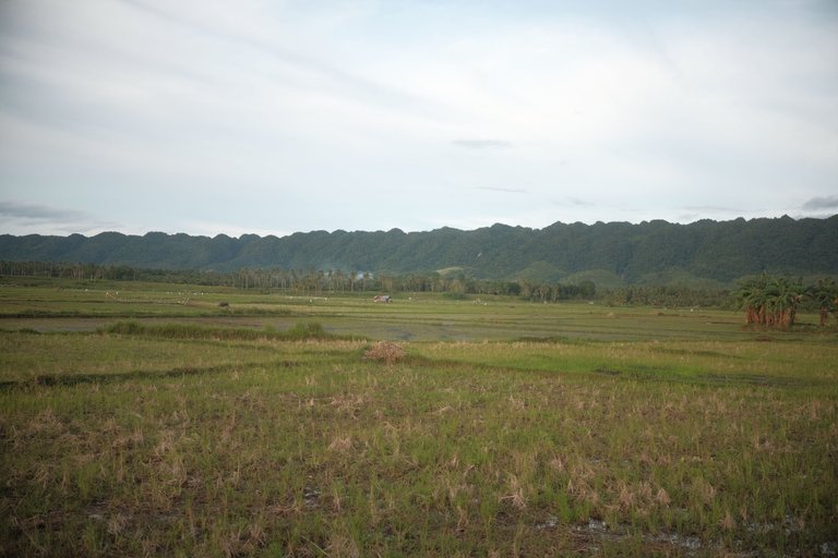 DSCF4508.JPG