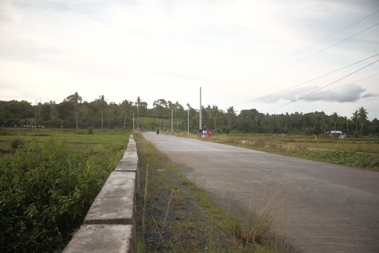 DSCF4504.JPG