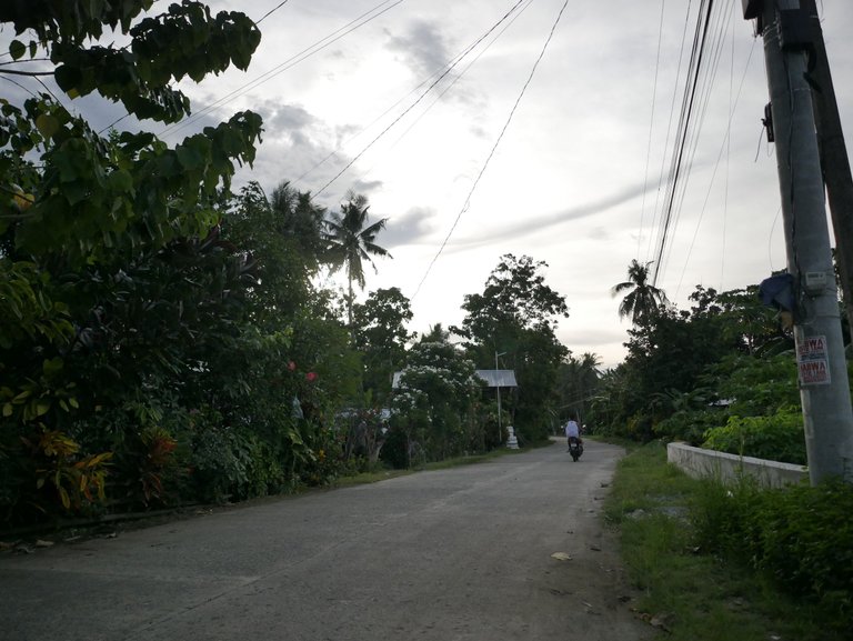 P1760460.JPG
