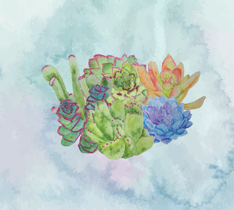 Succulents.png