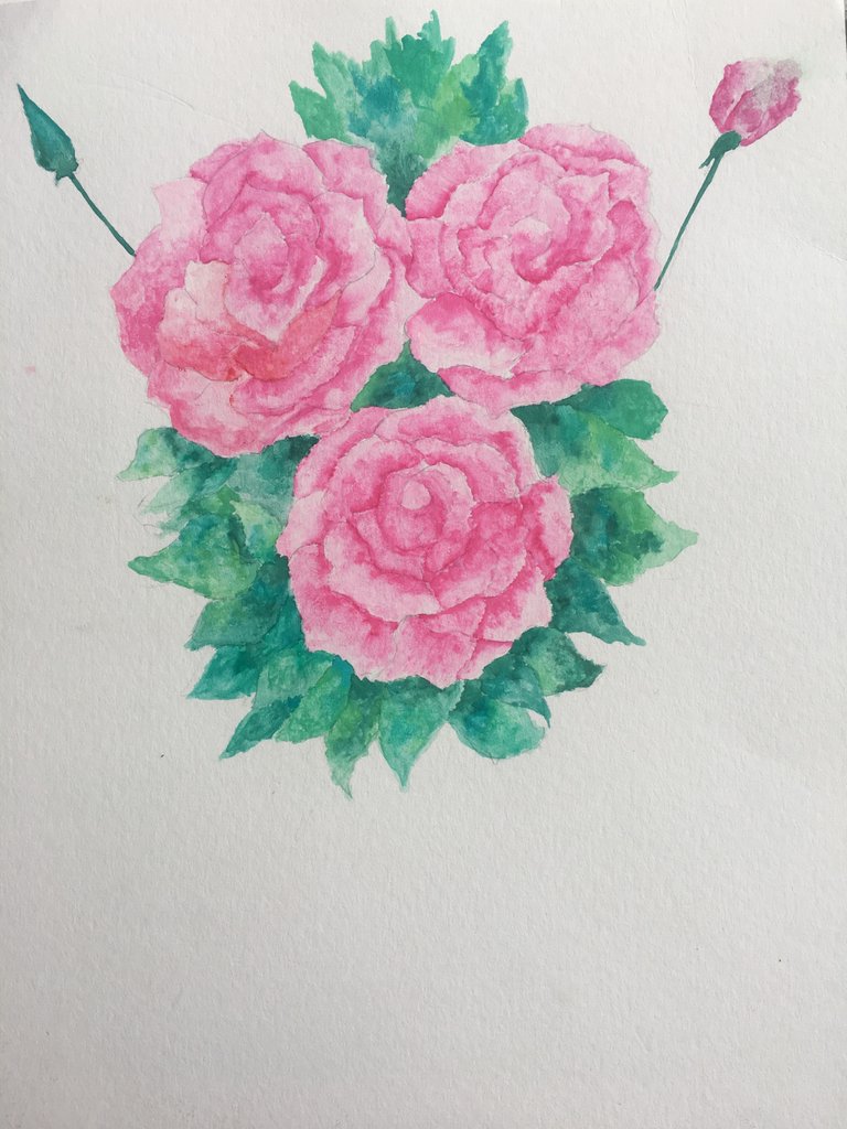 Roses.JPG