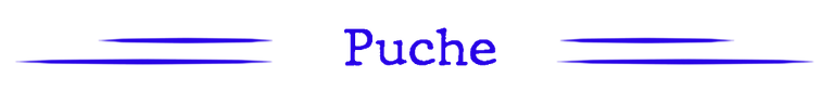 Puche.png