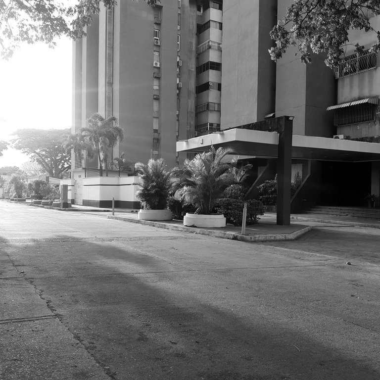 PIC 10.jpg