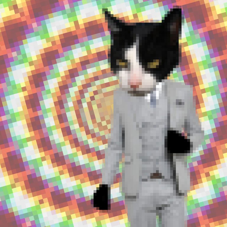 biz cat 001.jpg