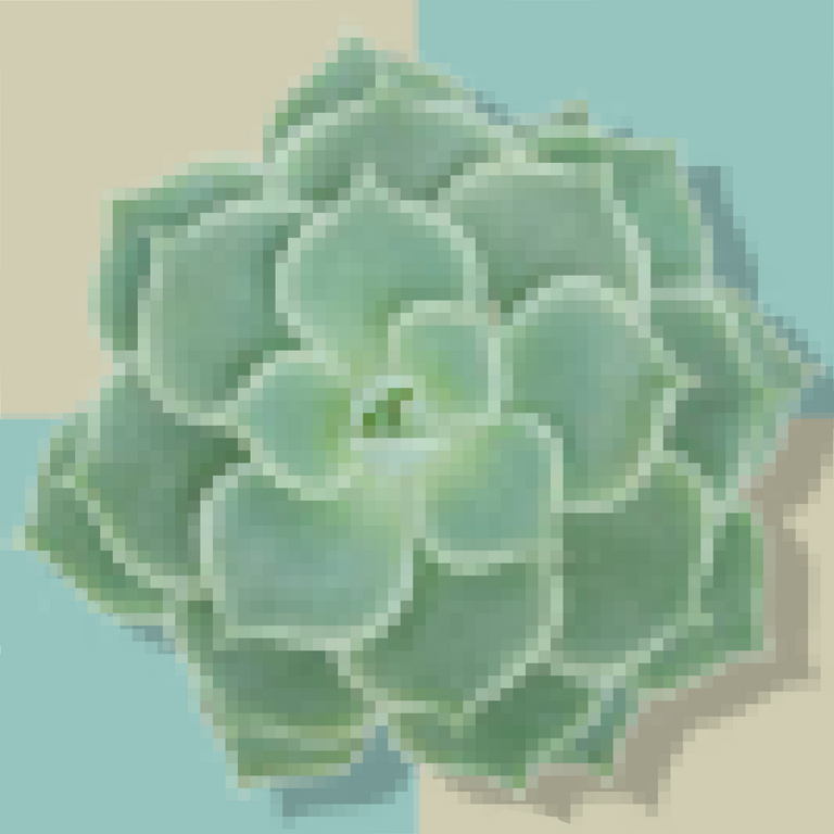 Succulents01.png
