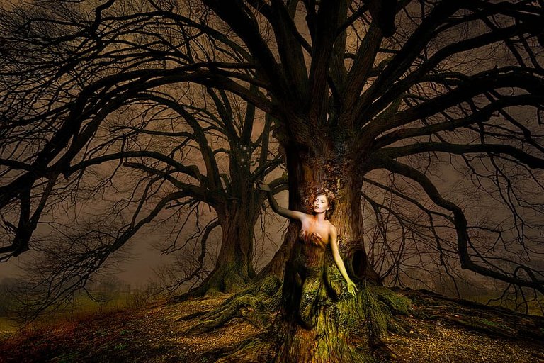 PxFuel-fantasy-woman-tree-light.jpg