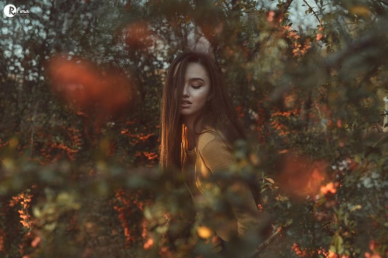 PxFuel-woman-in-forest-orange-leaves-model-beauty-pretty-sweet.jpg