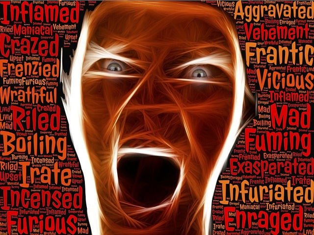 Pixabay-johnhain-enraged-804311_640.jpg